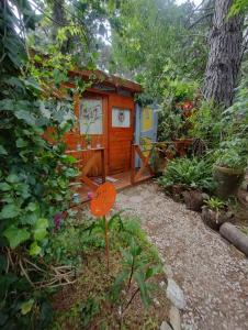 阿祖尔海SHANTI - HOME MAR AZUL的花园里的一座小木房子