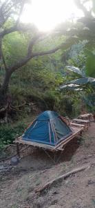 LidliddaEastdee Camping Ground的树下平台上的帐篷