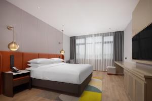 花都广州白云机场西希尔顿惠庭酒店的配有一张床和一台平面电视的酒店客房