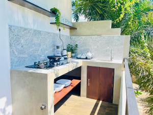 坦加拉Tropical Plant Villa - Tangalle的厨房配有水槽和台面
