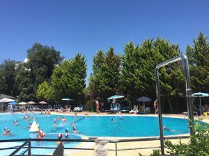 维亚雷焦天堂坎品酒店的一群人在游泳池游泳