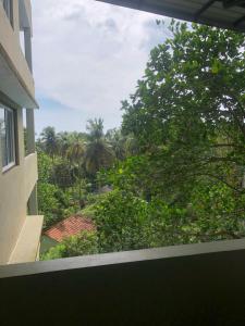 乌纳瓦图纳Hotel Paradiso,的从窗口欣赏树景