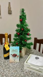布林迪西Parvis home的一瓶葡萄酒和一本书旁边的圣诞树