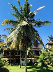 Kalutara NorthCandle House的一座建筑前的棕榈树
