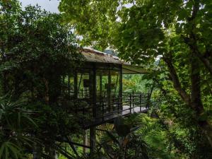 董里Kachonghills Tented Resort Trang的森林中的一个树屋