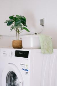 哈恩Piso compartido Delyrent, SFJ的洗衣机上的一个植物