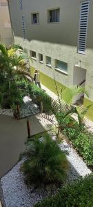 莫罗圣保罗Espaçoso apartamento a 50mt do mar的一座楼前种有棕榈树的庭院