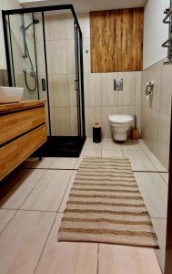 科沃布热格Royal 111的带淋浴和卫生间的浴室以及地毯。