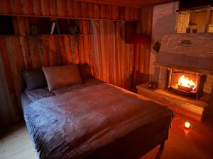 波什格伦Villa with pool and sauna的一间卧室设有一张带壁炉的床