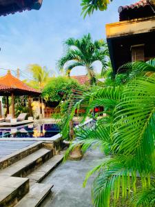蓝梦岛彭杜克巴鲁纳花园酒店的一个带游泳池和棕榈树的度假村