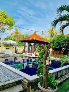 蓝梦岛彭杜克巴鲁纳花园酒店的一个带凉亭和棕榈树的度假游泳池