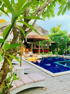 蓝梦岛彭杜克巴鲁纳花园酒店的一座带游泳池、椅子和一棵树的度假村