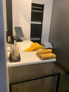 WielsbekeGuestsuite The Nest的浴室的台面配有黄色毛巾和镜子