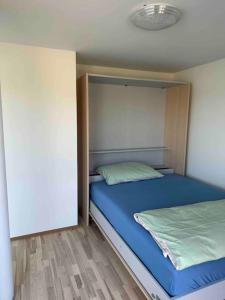 沙夫豪森Wohnung Neubau in Schaffhausen的一间卧室配有一张带蓝色床单和墙壁的床。