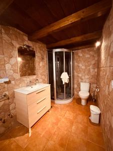 比利亚罗夫莱多Casa del Fraile的带淋浴、盥洗盆和卫生间的浴室