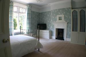 汉普顿茵雅顿Glenlyon Bed and Breakfast - NEC的一间卧室配有一张床、一台电视和一个壁炉