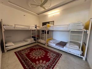 斋沙默尔Hostel Go And Stay Jaisalmer的带三张双层床和地毯的房间