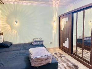 开罗Modern Comfy Flat的一间设有床铺和镜子的房间