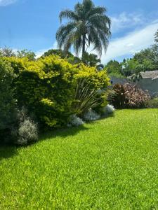 耶尔瓦布埃纳Casa Ceibo - Bon Repos的绿色庭院,后面有棕榈树