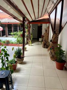伊基托斯Hospedaje Casa Amazónica Iquitos的种植了盆栽植物的庭院和建筑