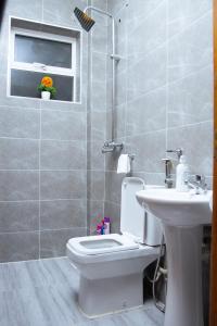 蒙巴萨Kezmo Siloam Paradise的一间带卫生间和水槽的浴室