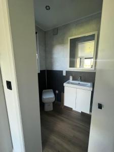 HamoisAu p'tit pré des salers的浴室配有白色卫生间和盥洗盆。