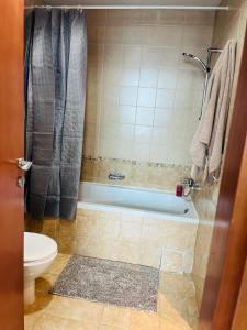 迪拜Amazing 1 bedroom apt in Marina的带浴缸、卫生间和淋浴的浴室。