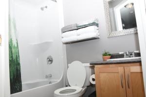 圣约翰斯Sam & Comfort Home的一间带卫生间、水槽和镜子的浴室