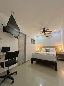 卡塔赫纳马格达莱纳酒店的一间卧室配有一张床、一张书桌和一台电视。