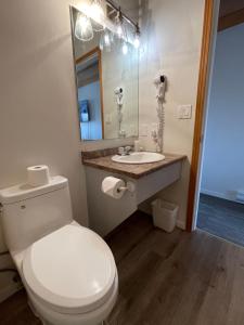 卡什克里克熊掌山林小屋的浴室配有白色卫生间和盥洗盆。