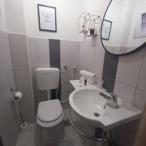 莫斯塔尔Apartments Mostar的一间带卫生间、水槽和镜子的浴室