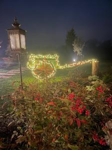 明乔河畔的瓦雷奇奥Relais Ca' Morenica的一个带灯的圣诞灯栅