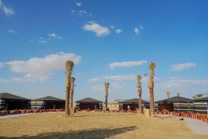 迪拜Al Marmoom Oasis “Luxury Camping & Bedouin Experience”的海滩上一排棕榈树,有建筑
