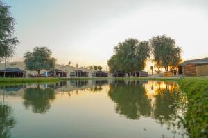 Al Marmoom Oasis "Luxury Glamping & Bedouin Experience"