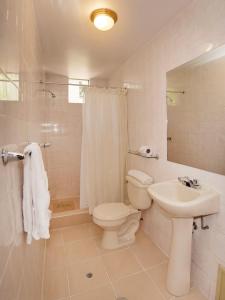 阿雷基帕贝纳维德斯酒店的白色的浴室设有卫生间和水槽。