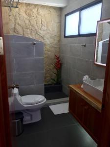 纽沃阿雷纳尔The Fruit Tree Garden Bromeliad Suite的浴室配有卫生间、盥洗盆和淋浴。