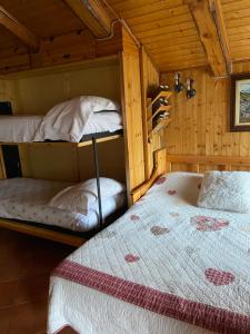 巴多尼奇亚Stella Alpina, in Via Medail con vista incantevole sulle Alpi的小屋内设有一间带两张双层床的卧室
