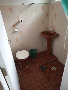 圣若泽杜斯坎普斯Hostel Sancris 2的一间带卫生间和水槽的浴室