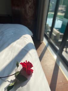 Bắc QuangCao Son Hotel的坐在床边的红玫瑰