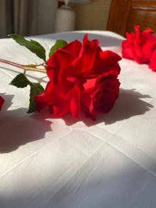 Bắc QuangCao Son Hotel的红玫瑰坐在白色桌子上