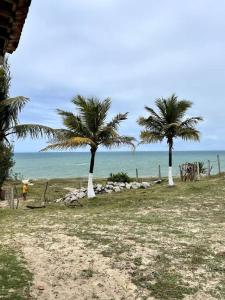 里奥杜福古Casa de frente para o mar, pé na areia!的近海海滩上的两棵棕榈树