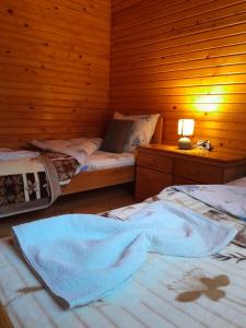 莫伊科瓦茨ECO ViLLAGE CORIC的木墙客房的两张床