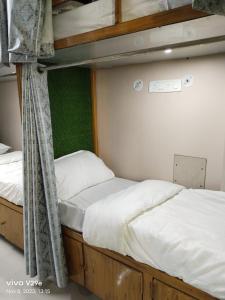 瓦拉纳西Shree Madhvam AC Dormitory的两张双层床,配有白色床单和绿色墙壁