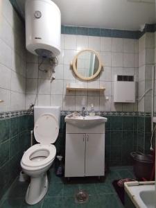 兹拉蒂博尔Apartman Gogi的一间带卫生间、水槽和镜子的浴室