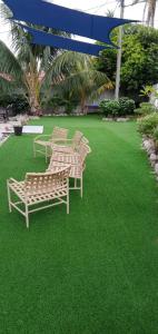 珍南海滩努美啦提酒店的三个长椅坐在草坪上,草地上绿草成荫