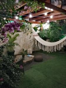 阿拉胡埃拉Airport Traveler's home.的花园内种有盆栽植物,设有吊床