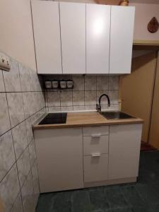 兹拉蒂博尔Apartman Gogi的厨房配有白色橱柜和水槽
