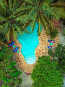 帕杰桑给巴尔德曼山林小屋的享有带椅子和棕榈树的游泳池的顶部景致