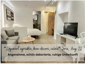 杜德尔多夫Living-in-History: Historischer Charme und Design的带沙发和电视的客厅