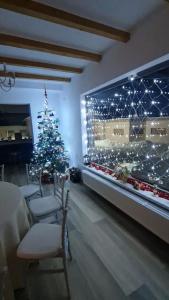 弗格拉什LukAmi Green Home的用餐室的圣诞树,有灯
